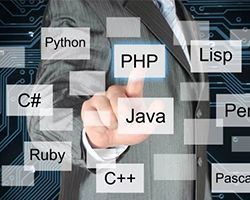 應用軟件開發與培訓 數字化時代的核心競爭力